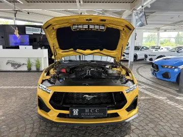 Mustang 5.0 V8 GT