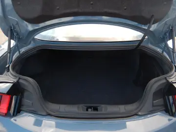 Mustang Fastback 5.0 V8 GT