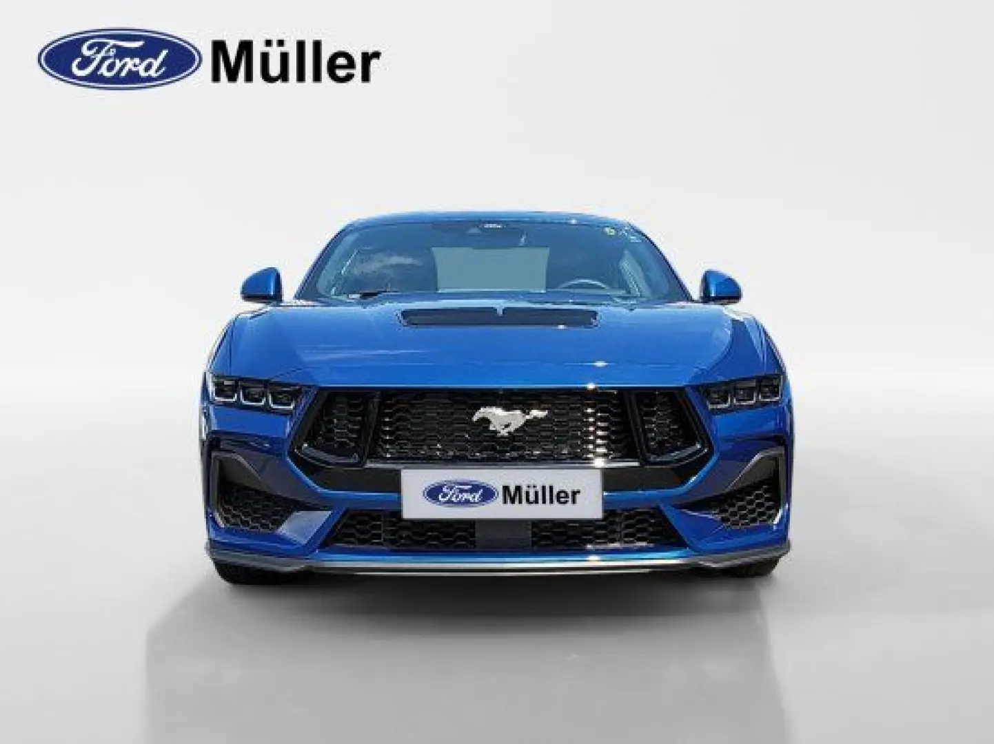 Mustang 5.0 GT Fastback