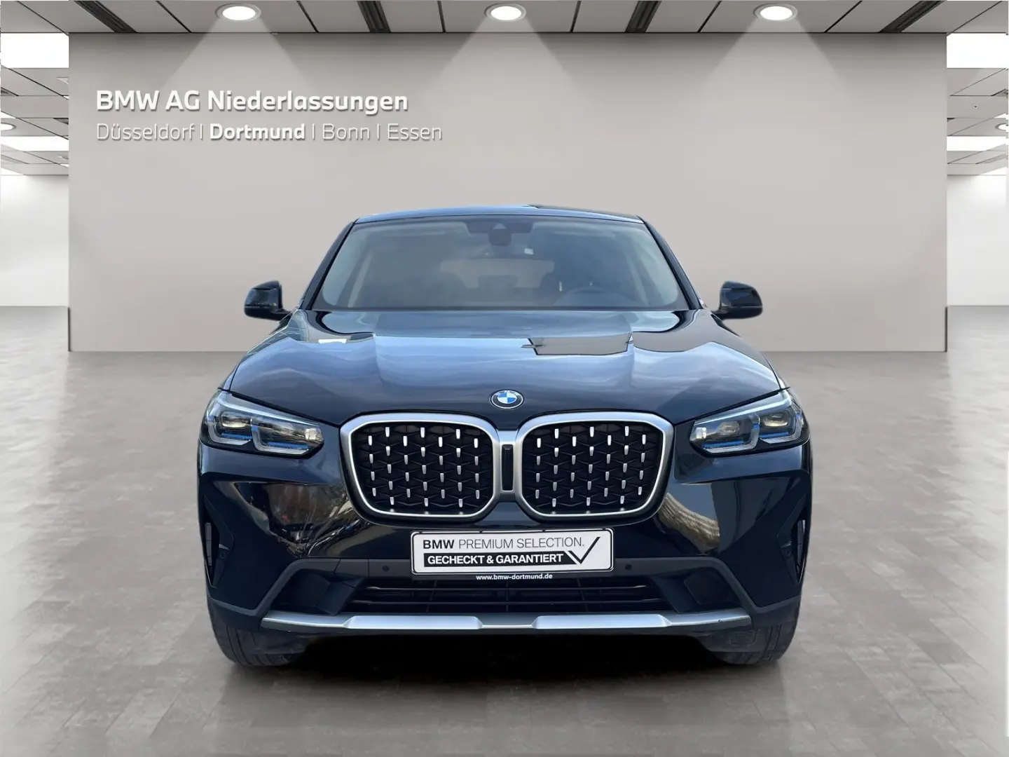 X4 xDrive20d Navi AHK Laser Kamera Driv.Assist