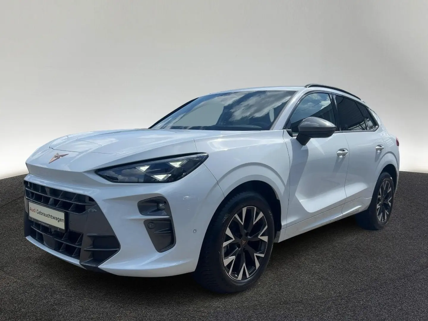 Terramar 1.5 eTSI DSG Sitzhzg LED Link Kamera