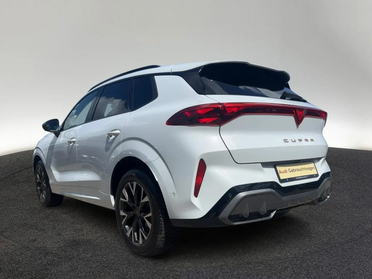 Terramar 1.5 eTSI DSG Sitzhzg LED Link Kamera