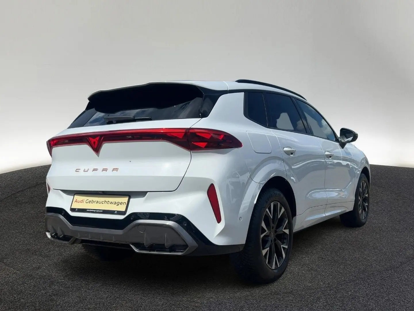 Terramar 1.5 eTSI DSG Sitzhzg LED Link Kamera