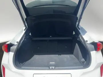 Terramar 1.5 eTSI DSG Sitzhzg LED Link Kamera