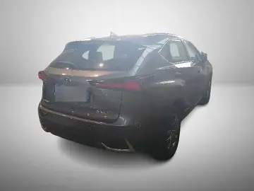 NX 300 2.5 HEV Business E-CVT BI-LED NAVI Kamera