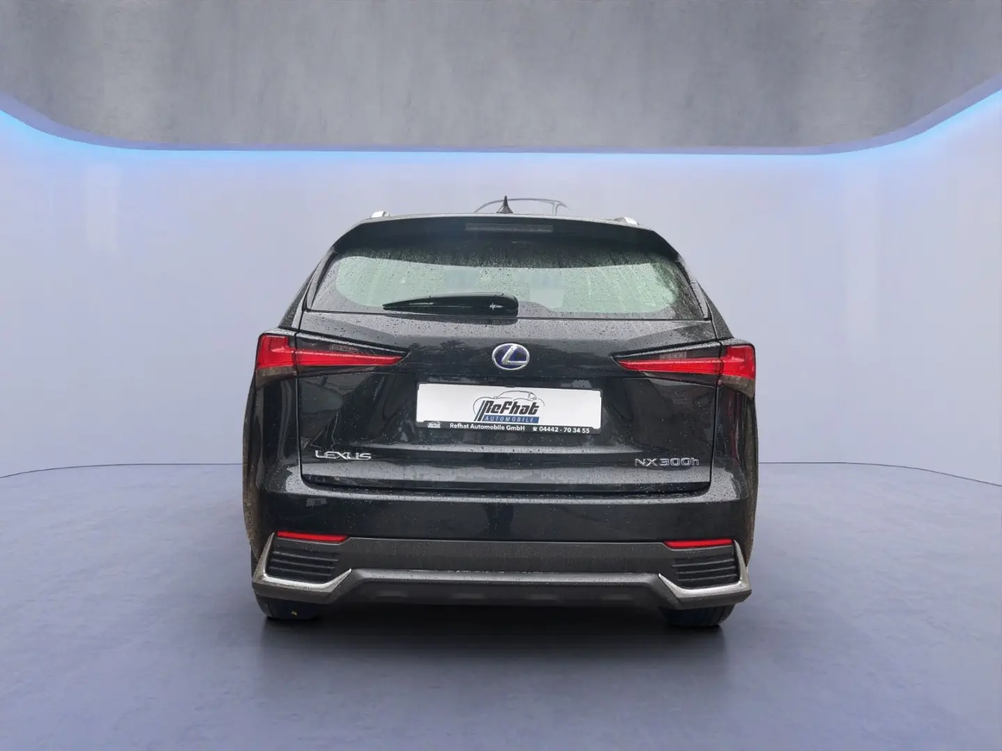 NX 300h Amazing Edition LED SHZ PDC