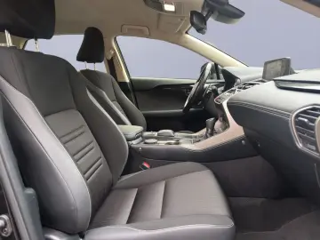 NX 300h Amazing Edition LED SHZ PDC