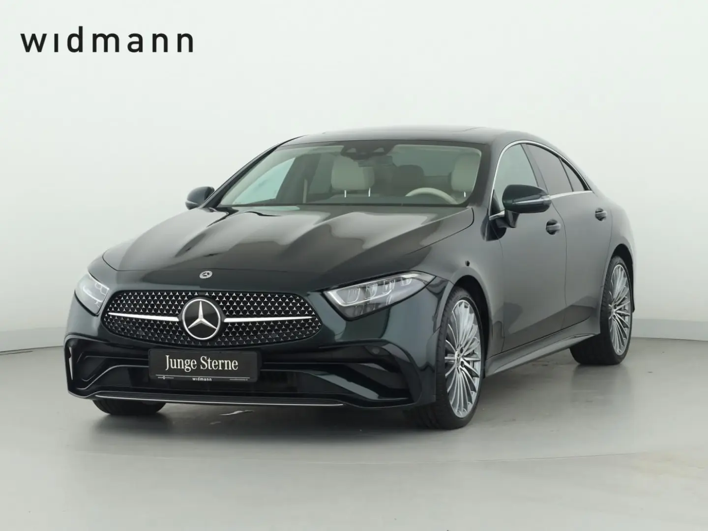 CLS 300 d 4M  AMG Leder Burmester Standhzg. 20''