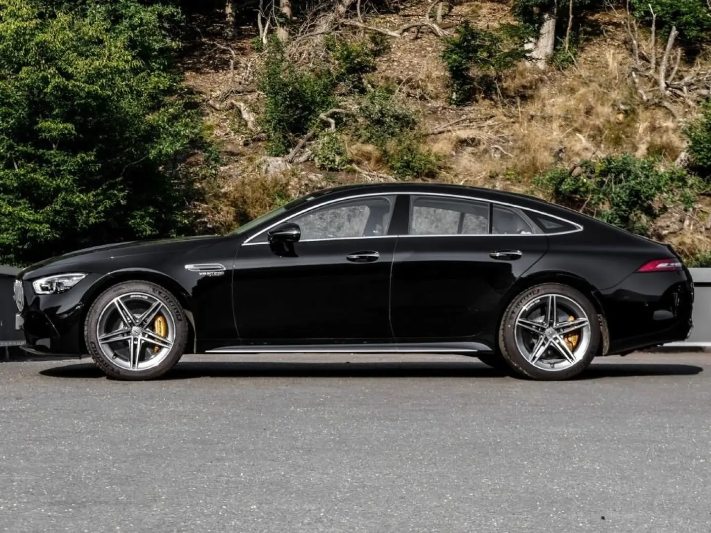 GT 63 AMG S E PERF. High-Class Fond Air-Bal Pano