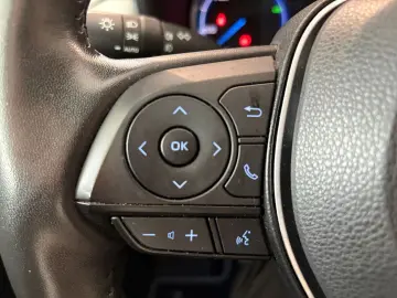 RAV 4 2.5 Hybrid Lounge 4x4  360 Navi LED JBL Ga