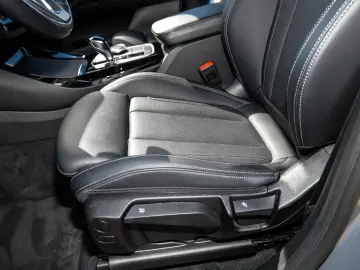 X3 xDrive30e RFK NAVI LED PDC V H DAB Parkass.