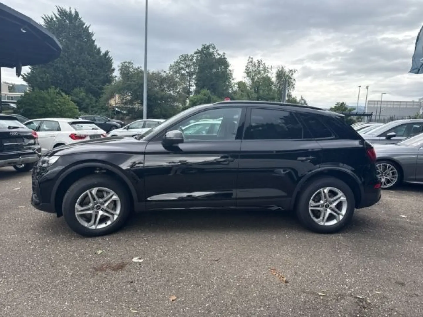 Q5 40 TDI quattro advanced AHK-klappbar El. Pano