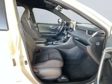 RAV 4 Plug-in-Hybrid Technik-Paket  HUD CAM 4xSH