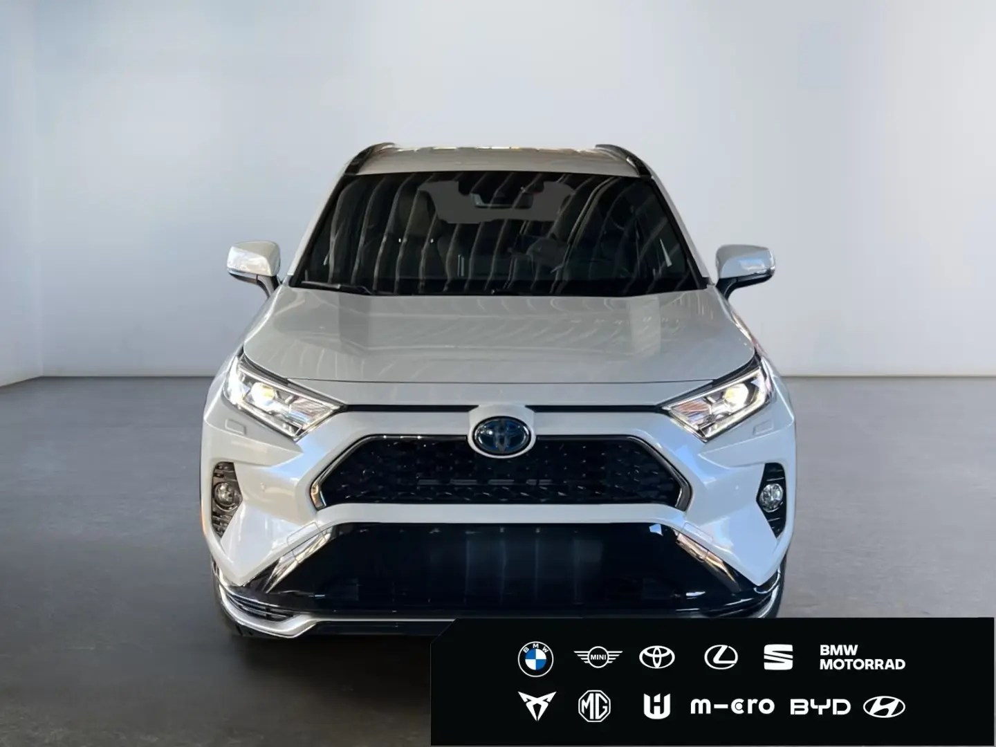 RAV 4 Plug-in-Hybrid Technik-Paket  HUD CAM 4xSH