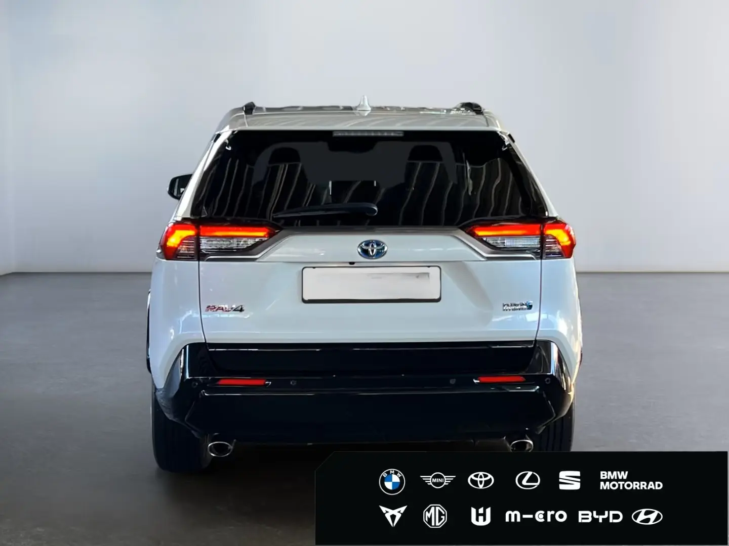 RAV 4 Plug-in-Hybrid Technik-Paket  HUD CAM 4xSH