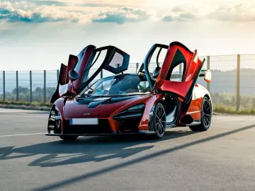 Senna   NR.250 von 499