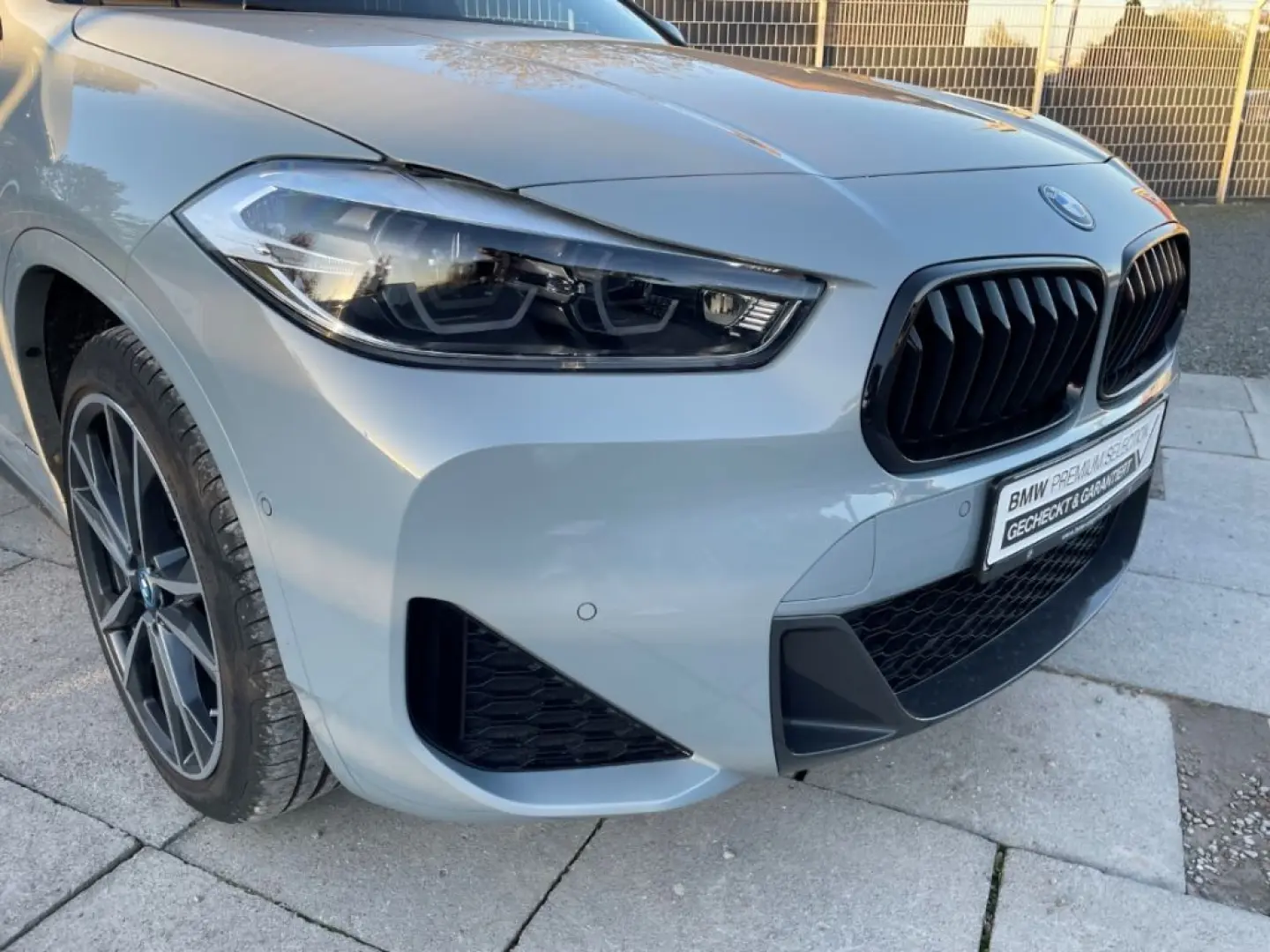 X2 xDrive 25 e M Sport R-Kamera Glasdach Head-Up