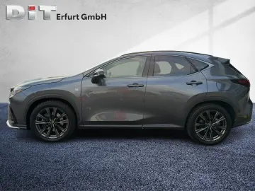 NX 450h  F Sport HUD  4xSHZ  DynLi  Leder