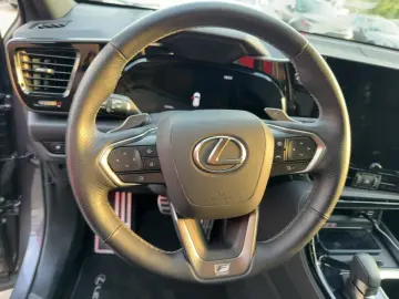 NX 450h  F Sport HUD  4xSHZ  DynLi  Leder