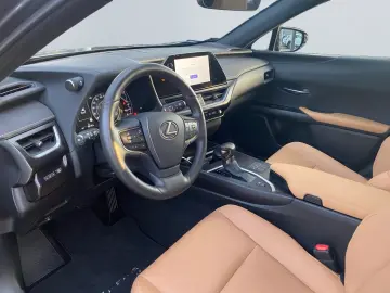 UX 250h F SPORT Design  Bi-LED AHK ACC SHZ RCam