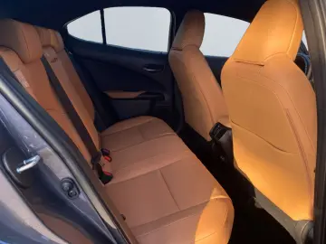 UX 250h F SPORT Design  Bi-LED AHK ACC SHZ RCam