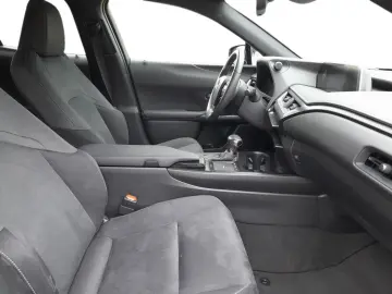 UX 250h Style Edition  Bi-LED ACC CAM SHZ CarPla