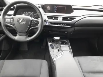 UX 250h Style Edition  Bi-LED ACC CAM SHZ CarPla