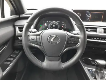 UX 250h Style Edition  Bi-LED ACC CAM SHZ CarPla