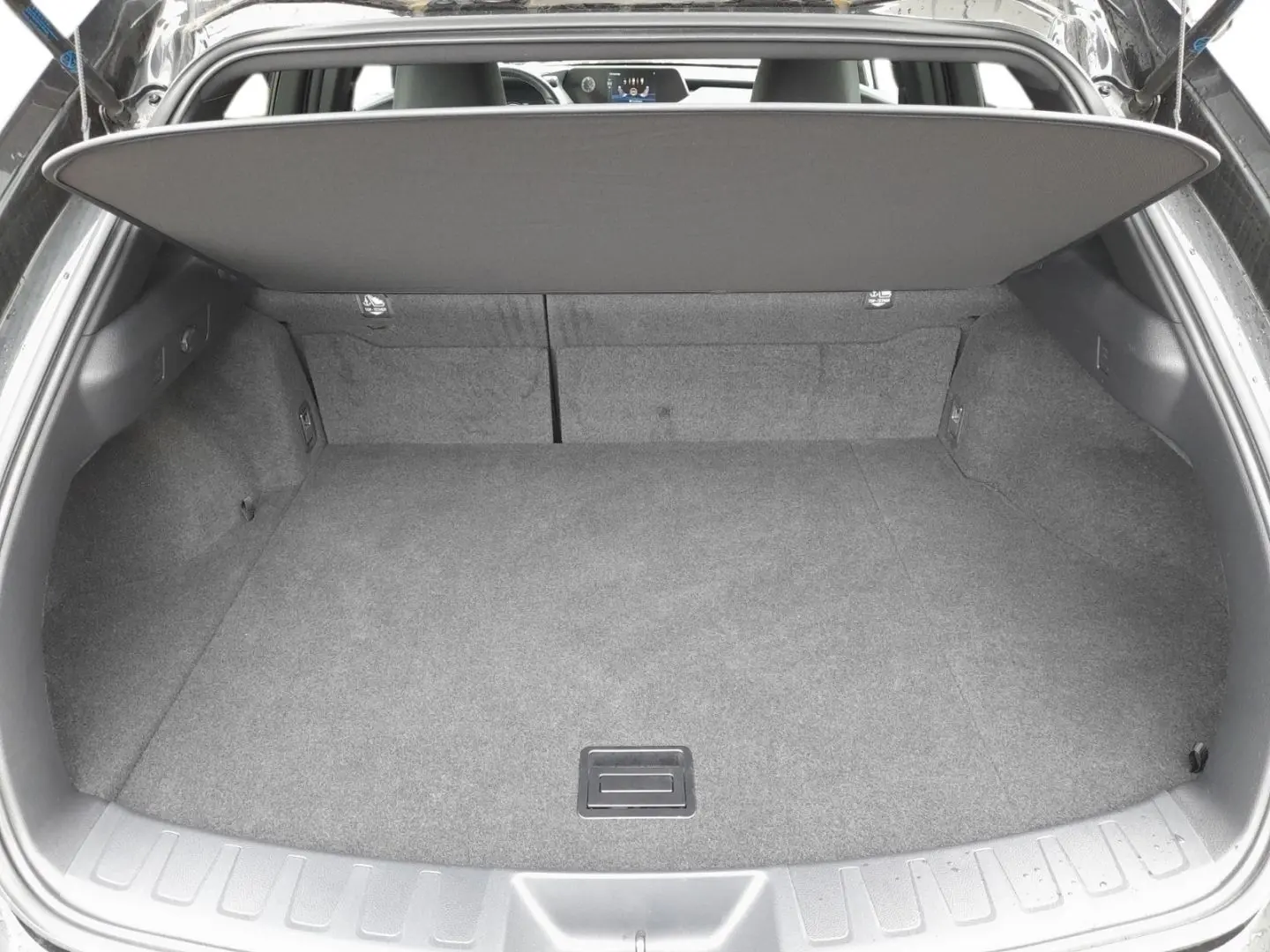 UX 250h Style Edition  Bi-LED ACC CAM SHZ CarPla