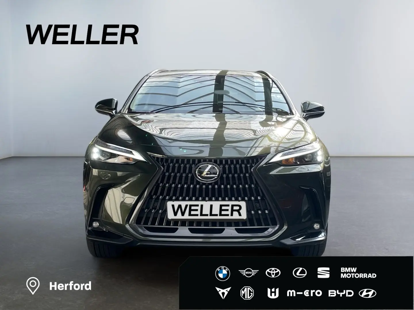 NX 450h  E-FOUR Executive Line  AHK Leder 360Gra