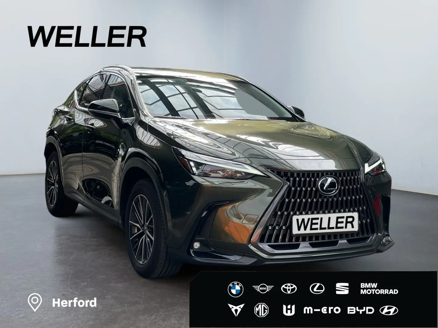 NX 450h  E-FOUR Executive Line  AHK Leder 360Gra