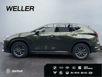 NX 450h  E-FOUR Executive Line  AHK Leder 360Gra