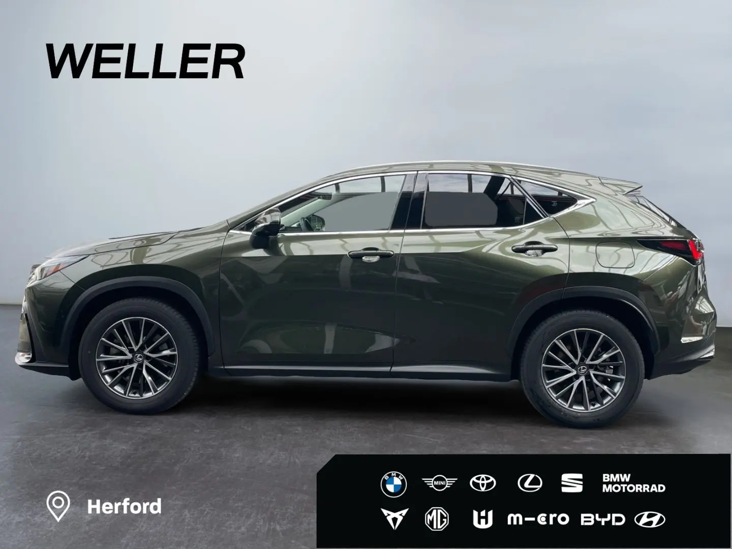 NX 450h  E-FOUR Executive Line  AHK Leder 360Gra