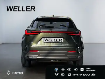 NX 450h  E-FOUR Executive Line  AHK Leder 360Gra