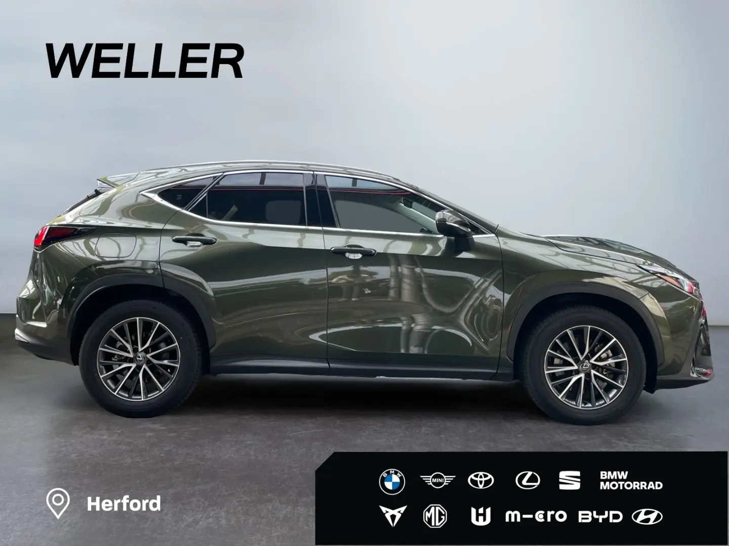 NX 450h  E-FOUR Executive Line  AHK Leder 360Gra