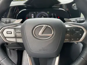 NX 450h  E-FOUR Executive Line  AHK Leder 360Gra