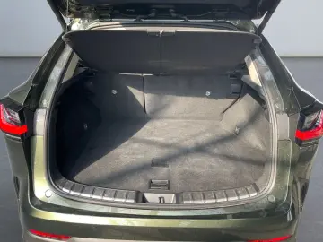 NX 450h  E-FOUR Executive Line  AHK Leder 360Gra