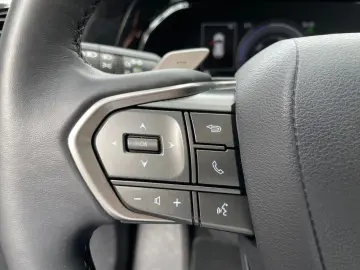 NX 450h  E-FOUR Executive Line  AHK Leder 360Gra