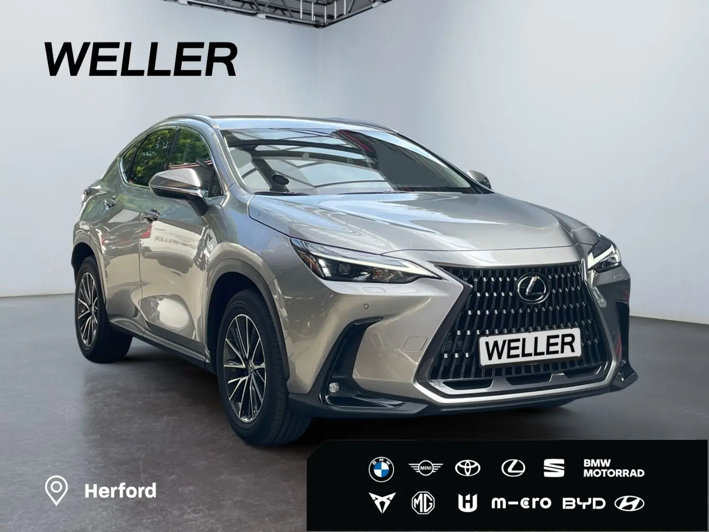 NX 450h  E-FOUR Executive Line  AHK Leder 360Gra