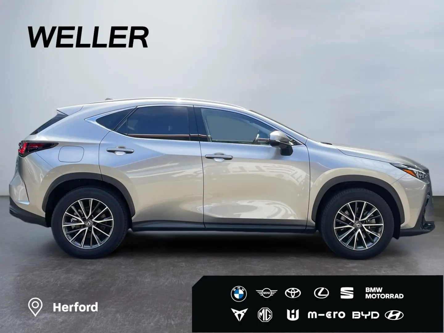 NX 450h  E-FOUR Executive Line  AHK Leder 360Gra