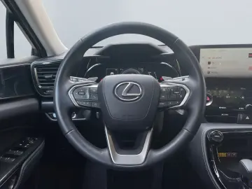 NX 450h  E-FOUR Executive Line  AHK Leder 360Gra