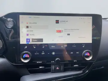 NX 450h  E-FOUR Executive Line  AHK Leder 360Gra