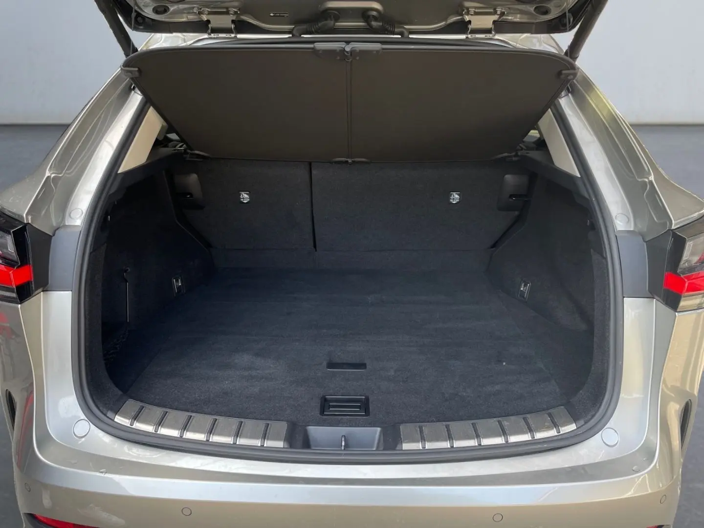 NX 450h  E-FOUR Executive Line  AHK Leder 360Gra