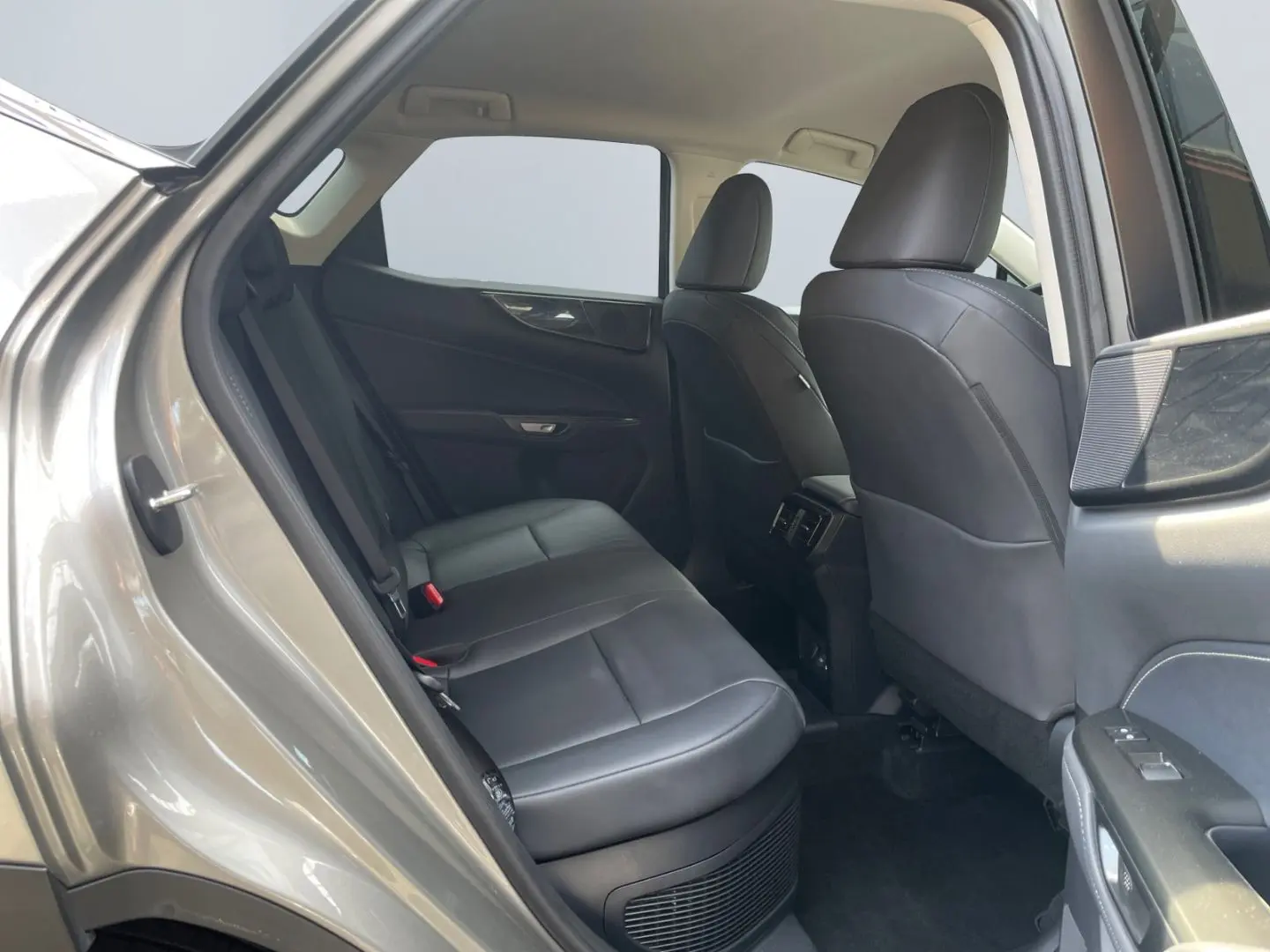 NX 450h  E-FOUR Executive Line  AHK Leder 360Gra