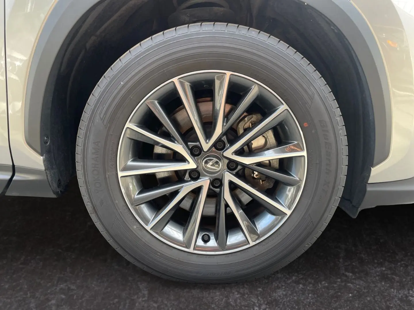 NX 450h  E-FOUR Executive Line  AHK Leder 360Gra