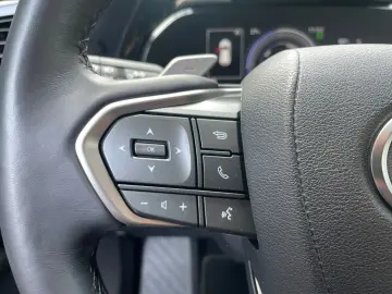 NX 450h  E-FOUR Executive Line  AHK Leder 360Gra