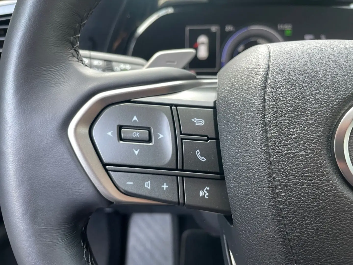 NX 450h  E-FOUR Executive Line  AHK Leder 360Gra