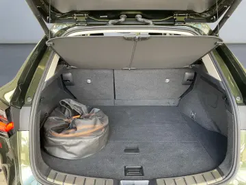 NX 450h  E-FOUR Executive Line  AHK Leder 360Gra