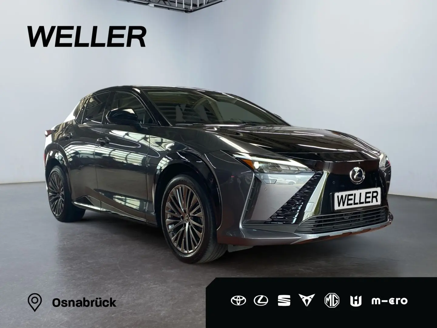 RZ 450e Luxury Paket  360  Pano dimmbar 20