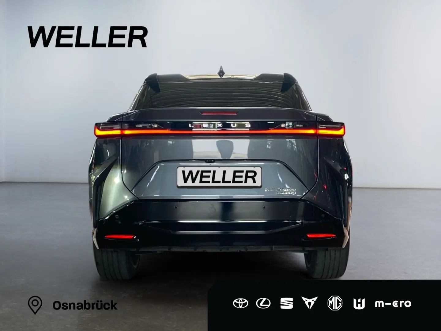 RZ 450e Luxury Paket  360  Pano dimmbar 20